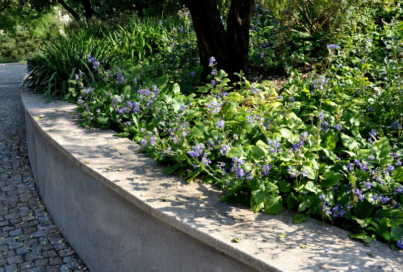Concrete Retaining Wall Installation