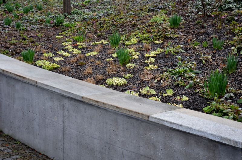 Wall Pouring Service detail